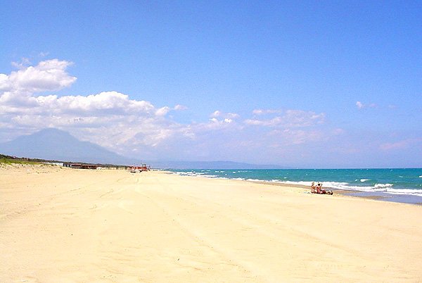 Allegra-strand-neu