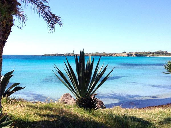 Strand-mit-palme