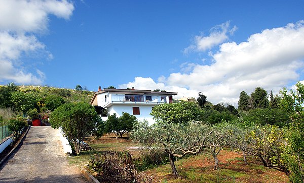 Flora-haus
