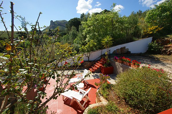 Flora-terrasse1b