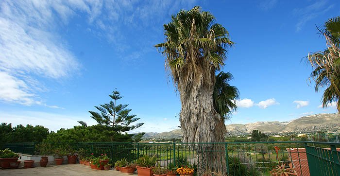 Marianna-hintere terrasse