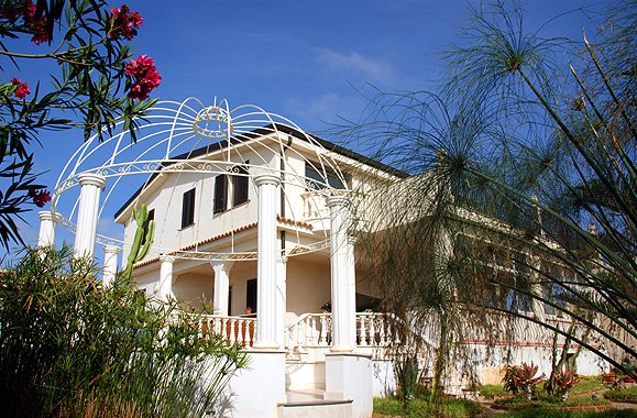 Orchidea-fassade