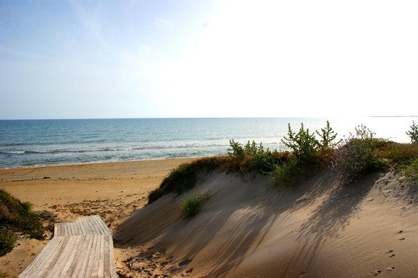 Villa-orchidea-weg-zum-strand