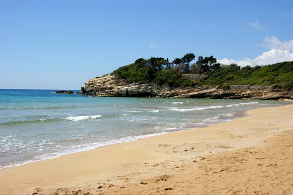 Pineta-del-gelsomineto