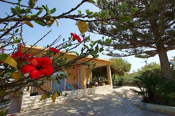 Porri-fassade-hibiscus