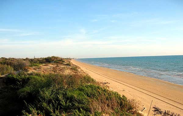 Porri-strand