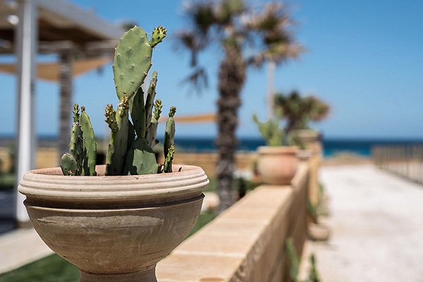 Villa-baia-marina-fichidindia