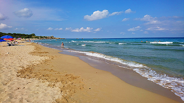 Avola-strand-pineto