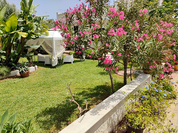 Villa-mar-dei-coralli-mein-schöner-garten