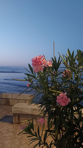 Oleander Casa Parisi